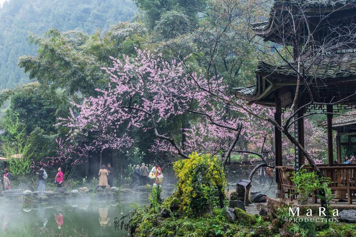 一个大问题